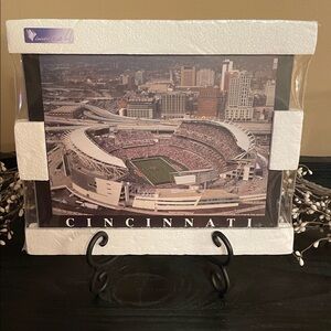 Cincinnati Bengals Stadium and Cityscape Wall Art-8x10 Framed-New in Package